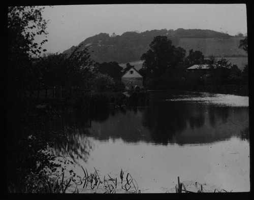 Mill pond box - box, dorking