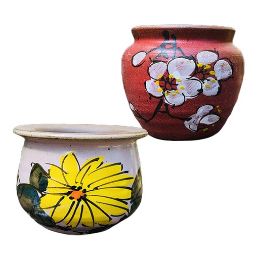 Pcs succulent ceramic - pcs,