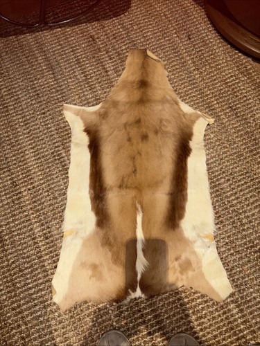 Deer goat hide rug - goat, wall