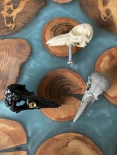 Mini Raven Skull Gothic Crow