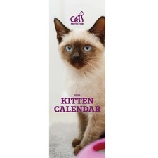 Kittens Calendar 2026 Cats Protection Slim Cat Calendar Official Charity Animals