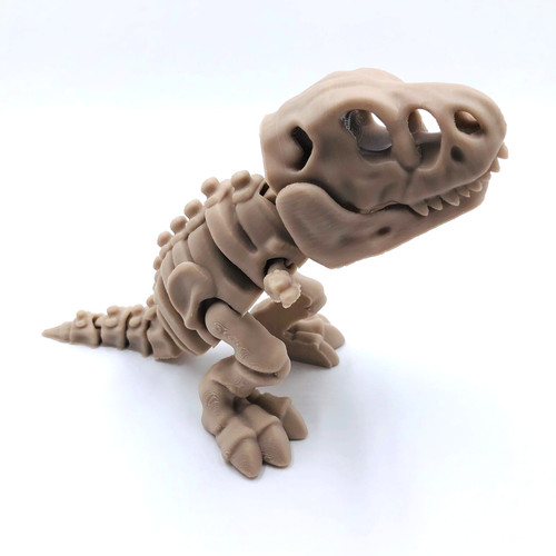 Printed skeleton rex - skeleton, t-rex