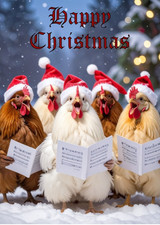 CHICKEN CHRISTMAS CARD WITH