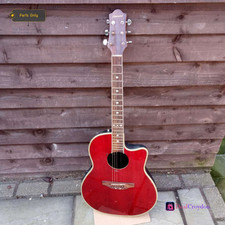 FLEETWOOD ELECTRIC GUITAR MPA