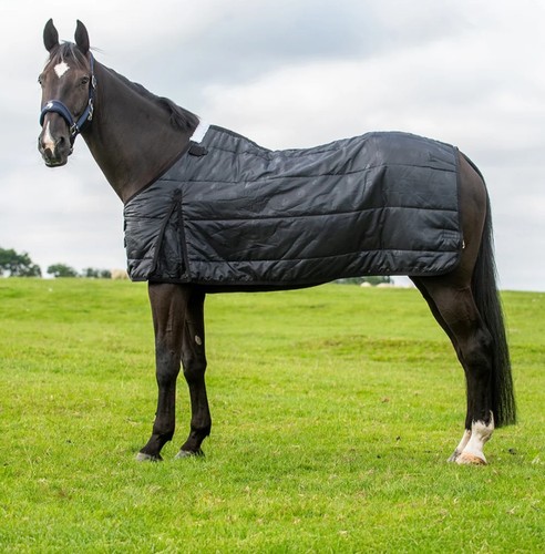 Big horse shop epic classic - big,