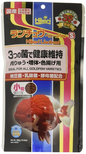 Hikari ranchu baby gold small - ranchu,