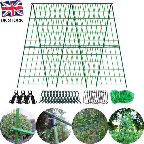 Cucumber trellis for garden - for,