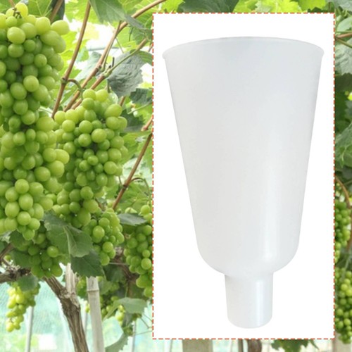 Grape dipping cup for orchard - dipping,