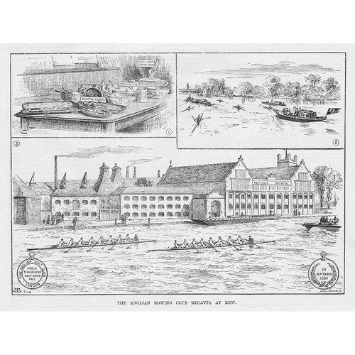 The anglian rowing - anglian, club