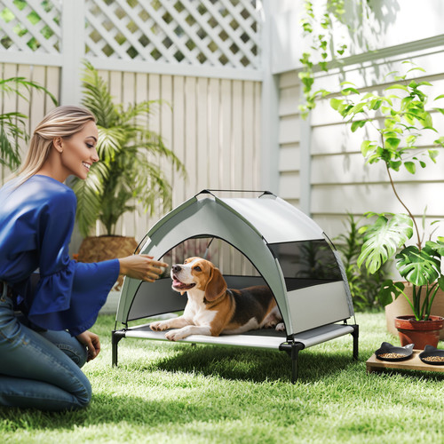 Dog house - dog,