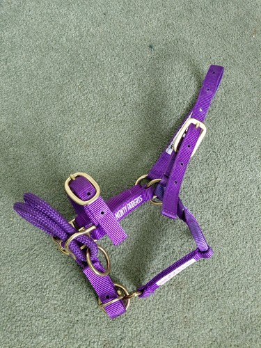 Purple monty roberts dually - purple,