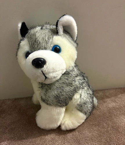 Grey white husky dog plush - grey, &