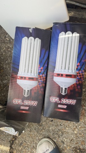 Cfl 250w red flowering bloom - cfl,