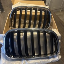 BMW X5 E70  M-Sport kidney Grills