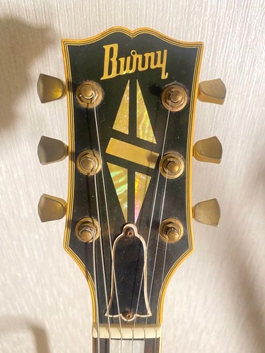 Burny 70rr les - paul, custom