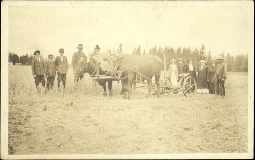 Rppc oxen drawn - rppc,