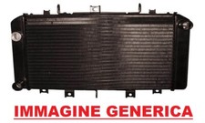 Bihr Radiator Replacement