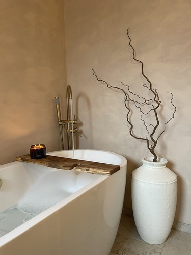 Real dried decorative - , branch