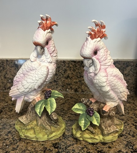 Pair major mitchell s - pair,