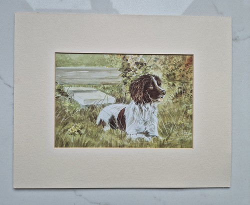 Brown springer spaniel print - spaniel,