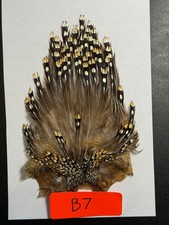 Fly tying materials Jungle