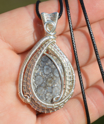 Beautiful fossil coral - beautiful,