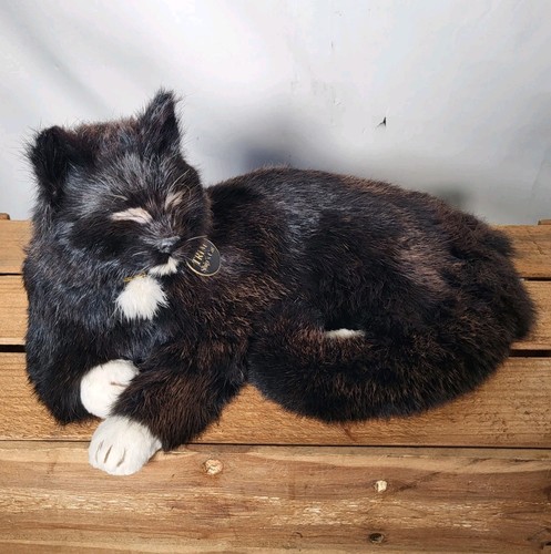 Nauticalia ships cat trim - cat,