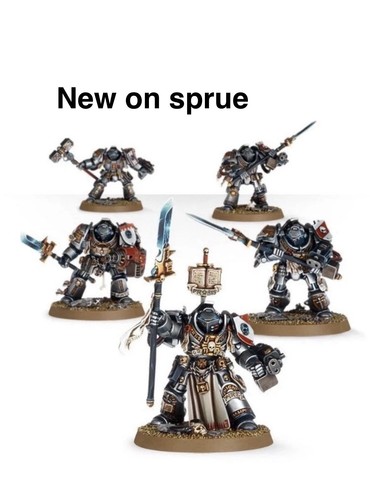 New grey knights brotherhood - new,