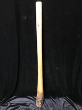 Didgeridoo hand made from eucalyptus wood