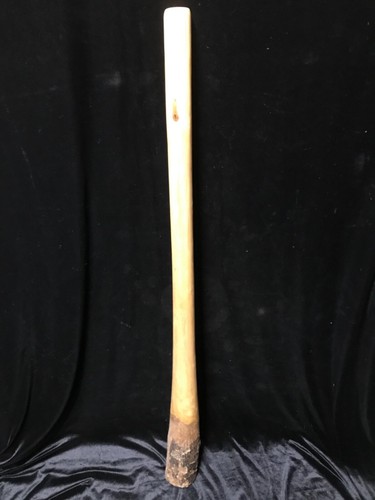Didgeridoo hand made from