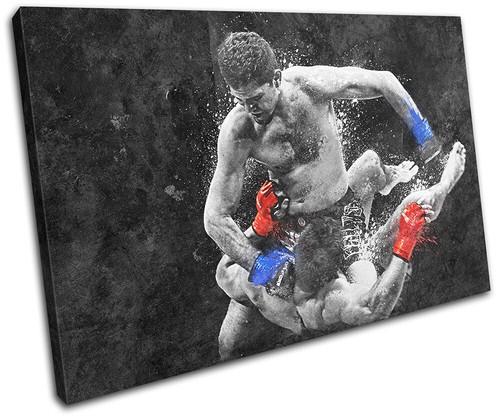 Ufc mma grunge nick diaz - ufc,