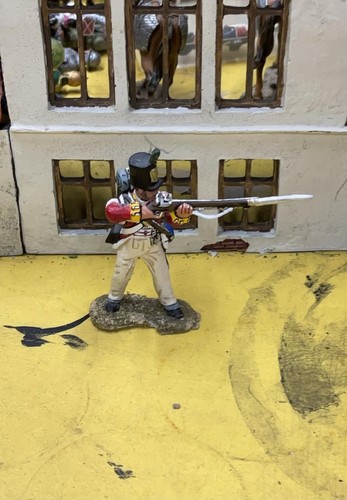 Victrix napoleonic plastic - victrix,