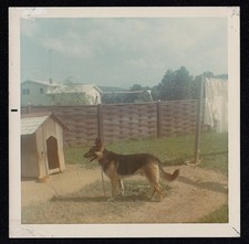 Vintage Photograph Adorable