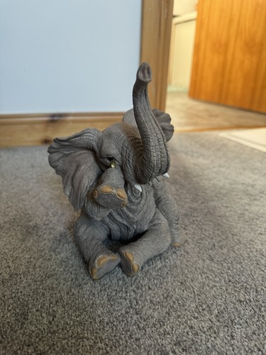 1993 tusker maxwell - tusker,