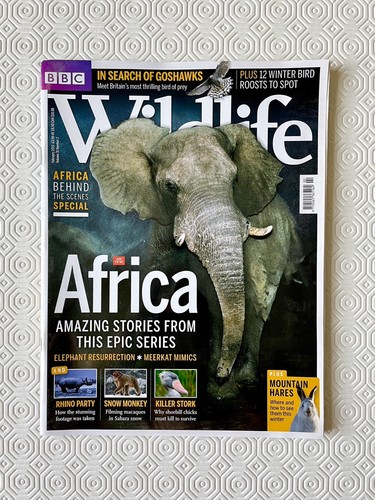 Bbc wildlife magazine february - wildlife,