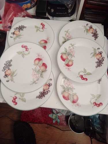 Ash berry side - side, plates