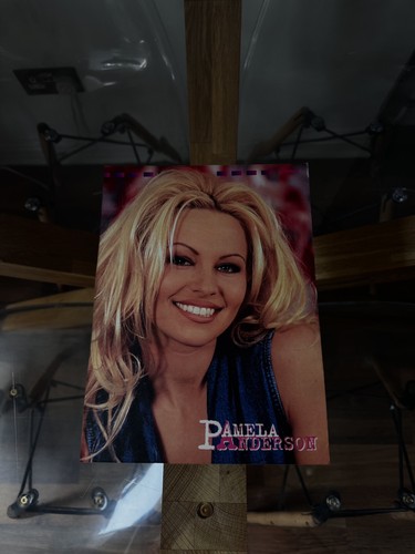 Pamela anderson memorabilia - memorabilia, a4