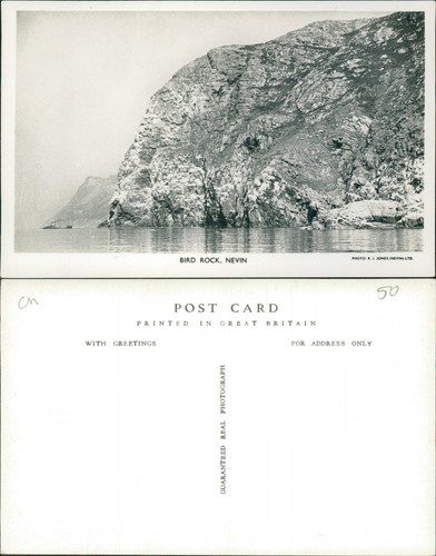 Bird rock nevin - nevin, rj