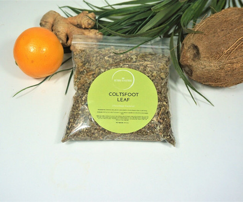 Coltsfoot dried herb tea - herb, high