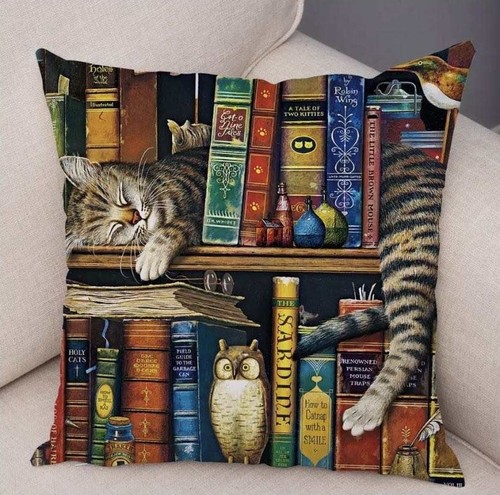 Cat books cushion cover 45 - cat,