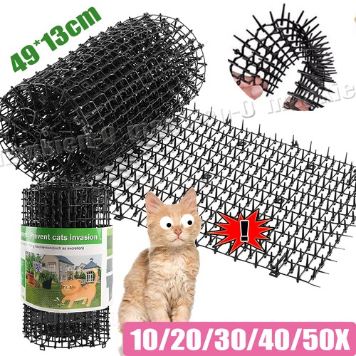 50pcs cat scat - 50pcs, mat