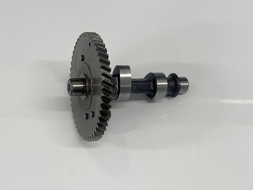 Dynocams 275 grind for - 275, 'cm'