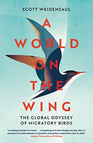 World the wing - a,