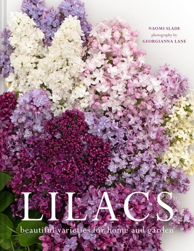Lilacs beautiful varieties - lilacs:,