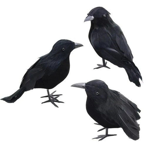 Realistic black crow - black, prop