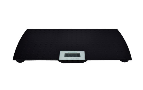 Marsden 100 veterinary - v-100, scale