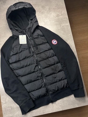 Canada goose hybridge huron - goose,