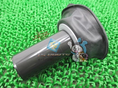 Max carburetor diaphragm - carburetor,