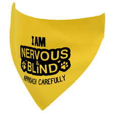Nervous blind dog - i,