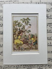 ‘Black Medick’ Wayside